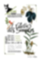 Affiche atelier des simples 4 .jpg